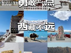 -布达拉宫