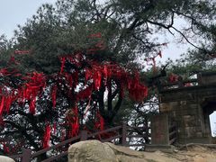 -缙云山景区