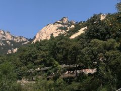 -无染寺