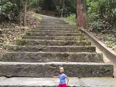 -火炉山森林公园