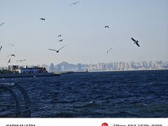 -大连海昌东方水城