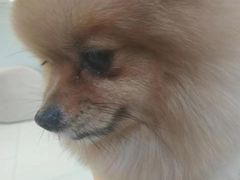 -怪兽屋·羊驼·猫咖·狗咖(俊华广场店)