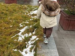 -洨河生态公园