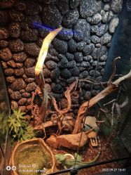 -未来动物城动物主题公园(大悦城店)