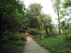 -桤木河湿地公园