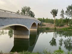 -东郊湿地公园