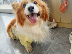 -芭比堂动物医院·CT·微创中心(新顺分院)