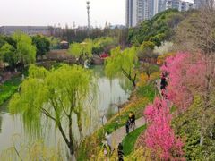 -圩墩遗址公园