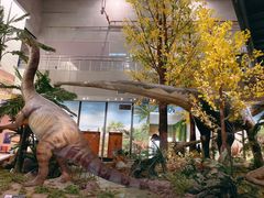 -湖南省地质博物馆