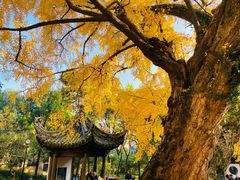 -惠山古镇·寄畅园