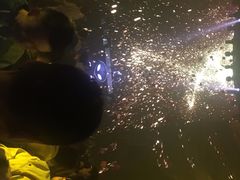 -欧米亚派对酒吧(绵阳店)