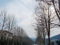 门面-徂徕山森林康养度假谷温泉