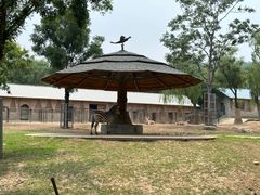 -石家庄市动物园