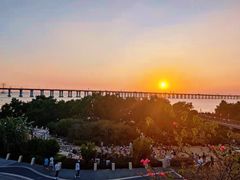 -宝安西湾红树林湿地公园