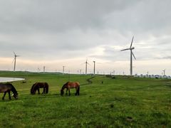 -蒙亨·手把肉·蒙古包文化主题餐厅(天恒广场店)