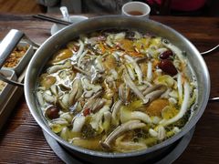 -菌极鲜野生菌火锅店(阳明祠店)