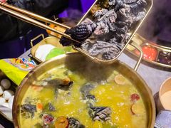 -Darling Queen·Mini·Live·House