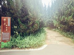 -昆明植物园