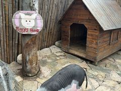 -HERRE·FARM 赫尔露营农场·团建聚会包场