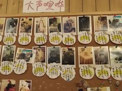 -猫色咖啡·猫咖
