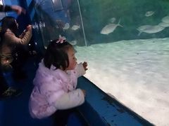 image-苏州海洋馆