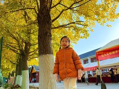 -辽宁大学(崇山校区)