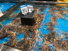 -盒马鲜生(领丰汇店)