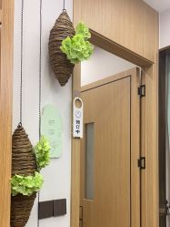 -芳朵美容养生SPA