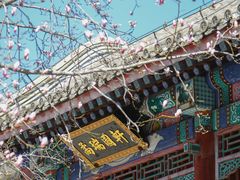 -颐和园