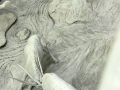 -中国湿地博物馆