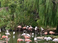 -宁波野生动物园