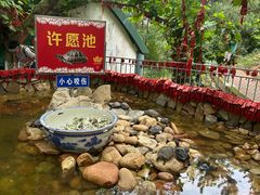 -西霞口神雕山野生动物世界