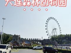 -大连森林动物园