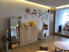 -猫腻·猫咖·撸猫馆(星光大道店)