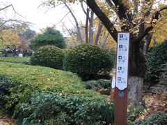 -东山雕花楼