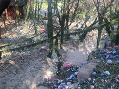 -腊山国家森林公园