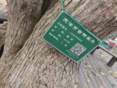 -吉姆冒险世界(蓟州店)