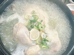 -莲洞本家