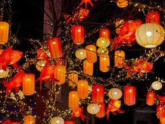 -龙湖星悦荟(颐和店)