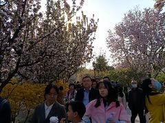 -元大都城垣遗址公园