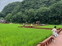 -高荡千年布依古寨旅游景区