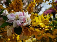 -元大都城垣遗址公园