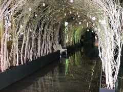 -奈雪的茶(湖滨银泰in77C区PRO店)