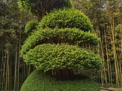 -苏州河梦清园环保主题公园