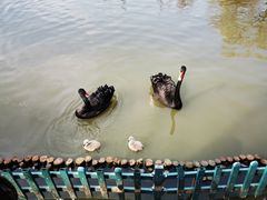-扬州市茱萸湾风景区