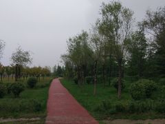 -洨河生态公园