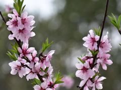 -苏州上方山国家森林公园
