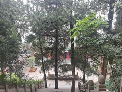 -老君山
