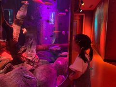 -沈阳海洋探索中心