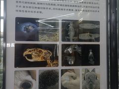 -pd派德宠物中心医院24H急重症·眼科中心·血液透析中心(嵩山北路店)